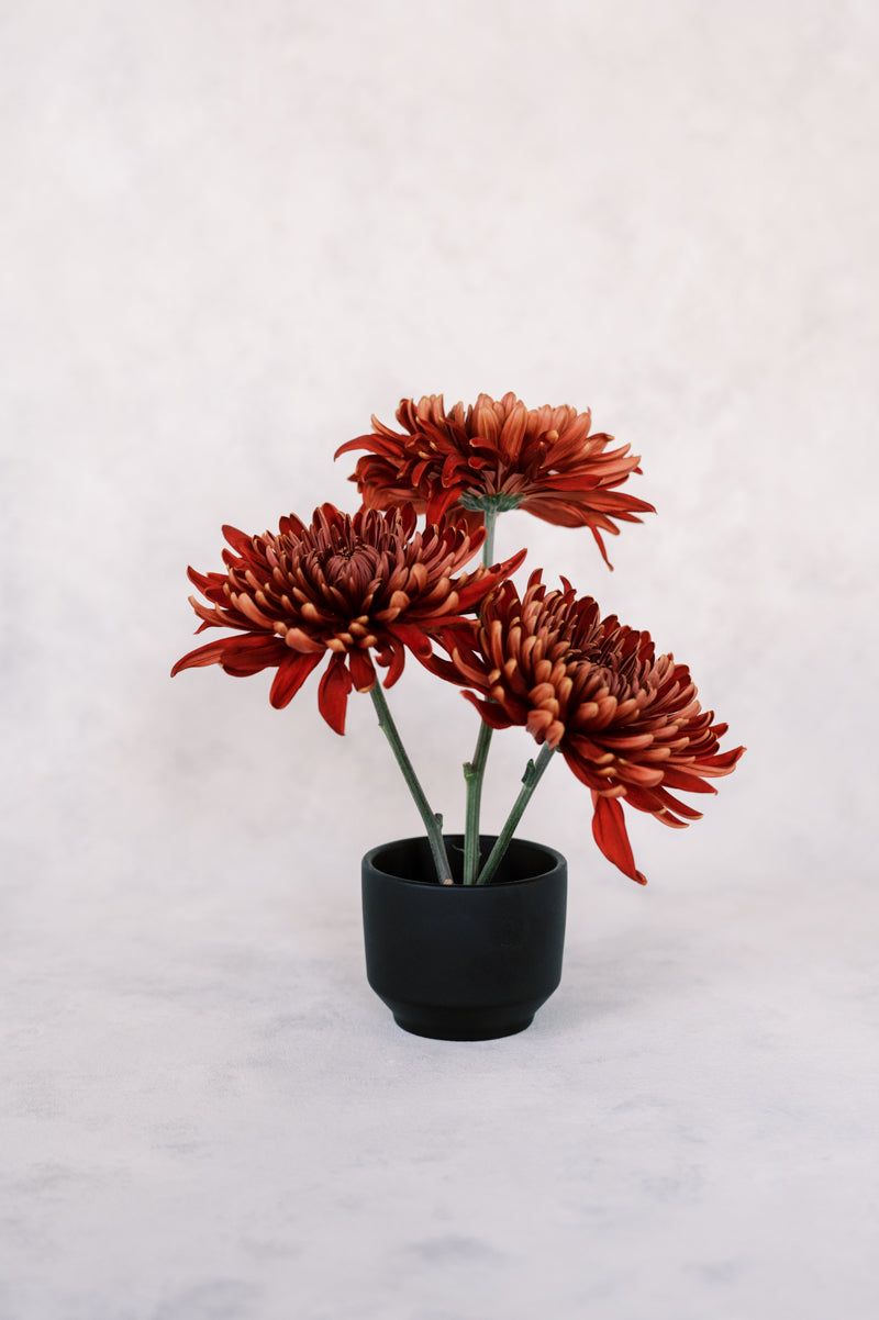 Tall Flower Frog Bowl